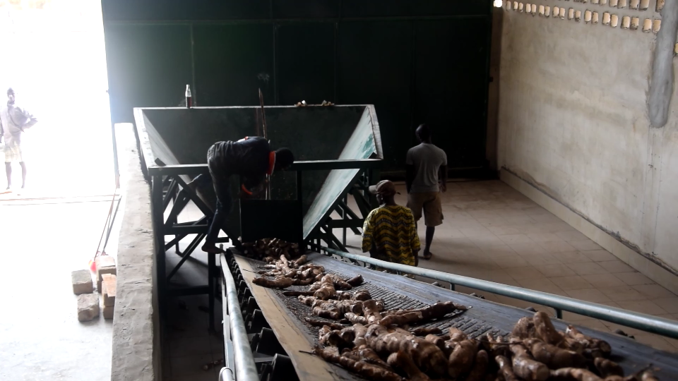 Cassava production line.png